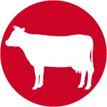 Icon of white cow on red background