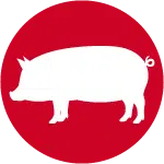 Icon of white pig on red background