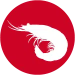 Icon of white prawn on red background